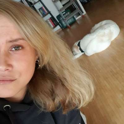 Hundetreffen-Gassi gehen/ Hundespielen Erkrath-Profilbild