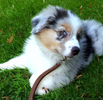 Erstes Bild-Beitrag-Bild