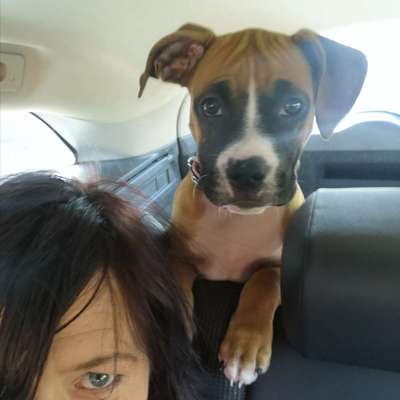 Dogorama Photo Challenge - Selfie Time!-Beitrag-Bild