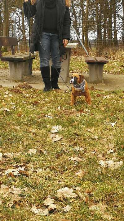 Erstes Bild-Beitrag-Bild