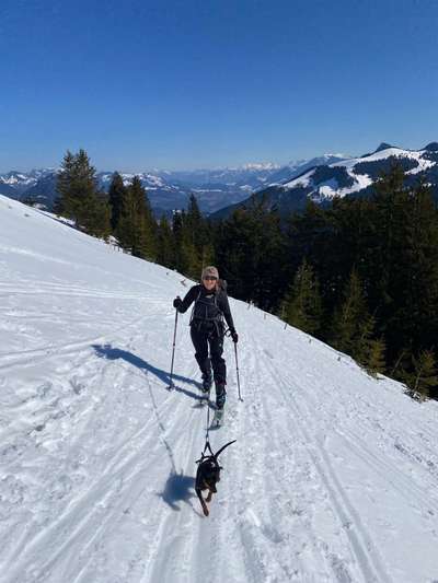 Dogorama Photo Challenge - Es wird nochmal kalt!-Beitrag-Bild