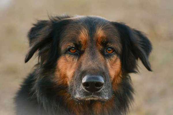 Lieblingsbild-Beitrag-Bild