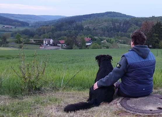 Hundmenschfotos-Beitrag-Bild