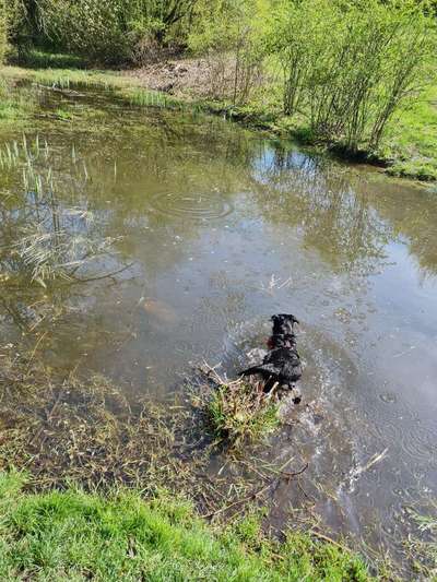 Fotochallenge 27-Beitrag-Bild