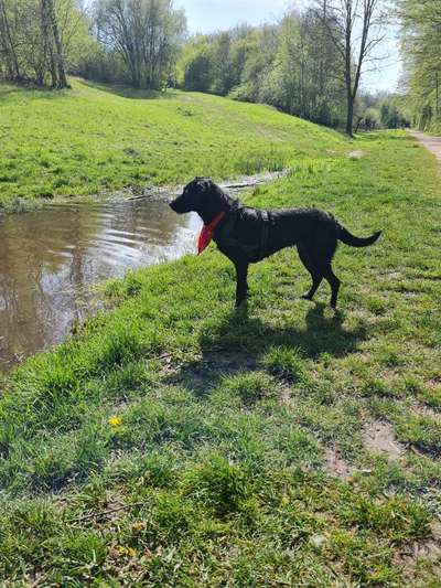 Fotochallenge 27-Beitrag-Bild