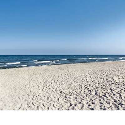 Hundetreffen-Kurzurlaub Ostsee-Bild