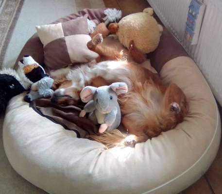 Die unbequemsten und lustigsten Schlafpositionen-Beitrag-Bild