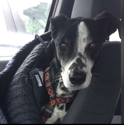 Lieblingsbild-Beitrag-Bild