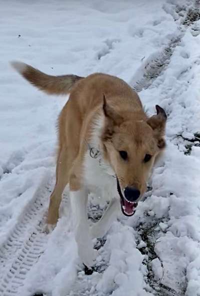 26. Collagen Challenge- Zeigt her eure Zähne-Beitrag-Bild