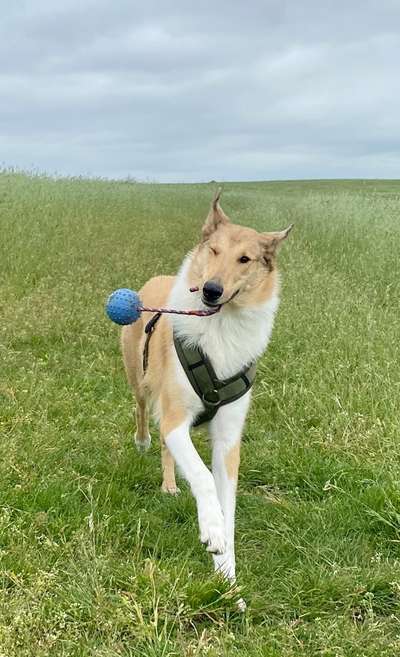 138. Fotochallenge 

(M)Ein Ball und ich-Beitrag-Bild