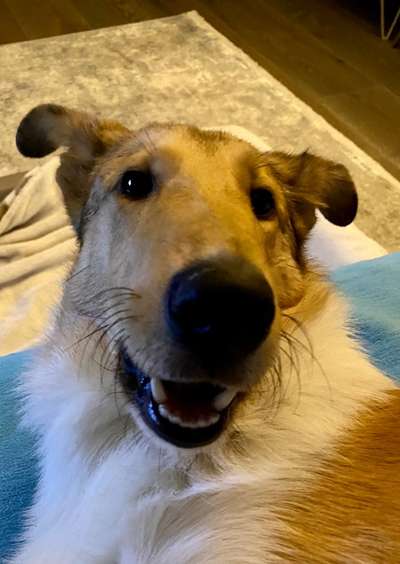 26. Collagen Challenge- Zeigt her eure Zähne-Beitrag-Bild