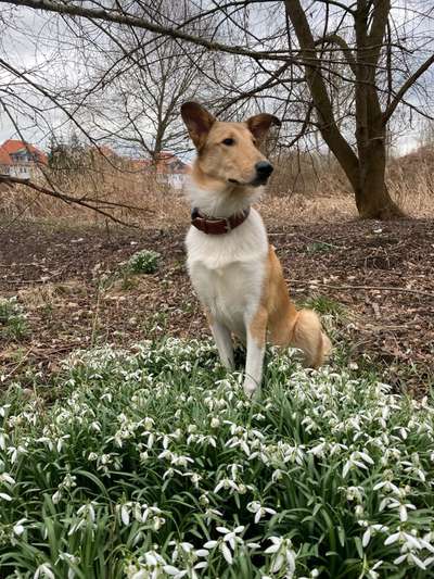 Fotochallenge Nr. 126-Beitrag-Bild