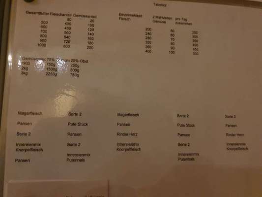 Rhodesian Ridgeback-Beitrag-Bild