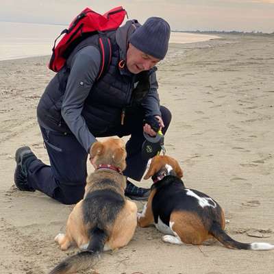 Hundetreffen-Gassirunde