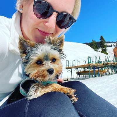 Hundetreffen-Welpentreff für kleine Hunde-Profilbild