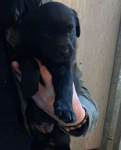 Das erste Foto-Beitrag-Bild