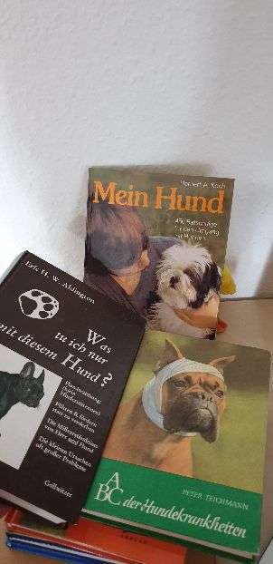 Hunde-Fachliteratur-Beitrag-Bild