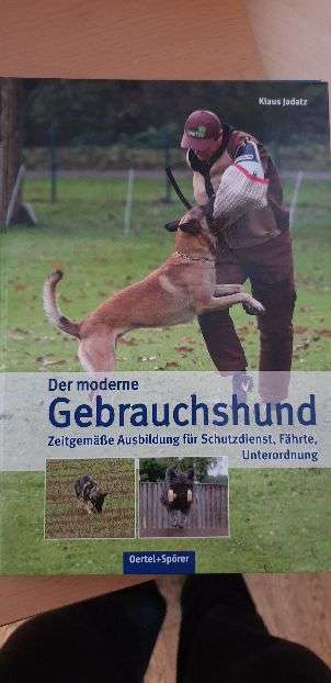 Hunde-Fachliteratur-Beitrag-Bild