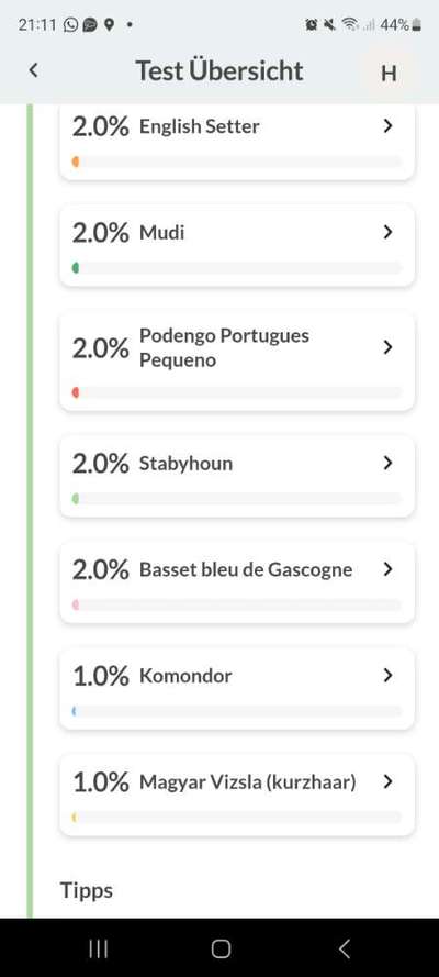 Mischlinge raten - Rätselspaß-Beitrag-Bild