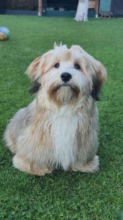 Fotochallange Nr. 57     PORTRÄT.   Beendet!!!!!!!!-Beitrag-Bild