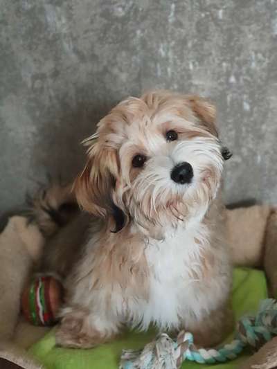 Lieblingsbild-Beitrag-Bild