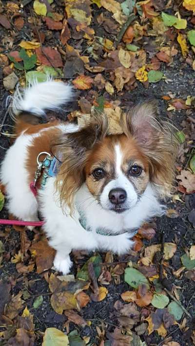 Doppelgänger gesucht !-Beitrag-Bild