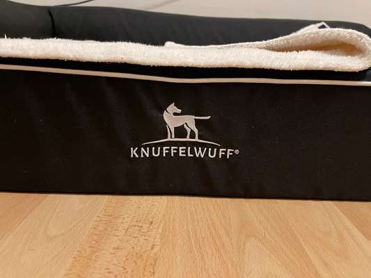 Hundebett-Beitrag-Bild