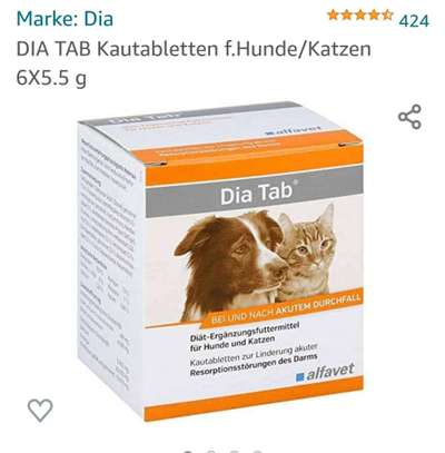 Durchfall von Salzwasser-Beitrag-Bild