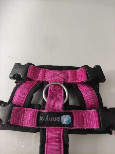 AnnyX Safety Sicherheitsgeschirr, Gr. XS und Führleine in schwarz-pink-Beitrag-Bild