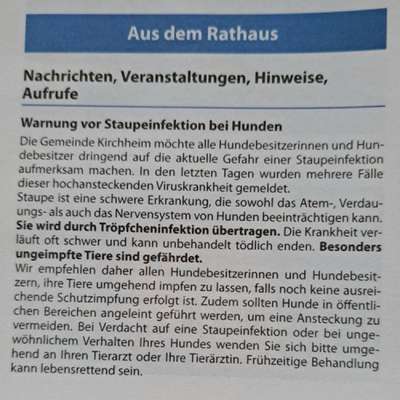 Giftköder-Staupewarnung-Bild