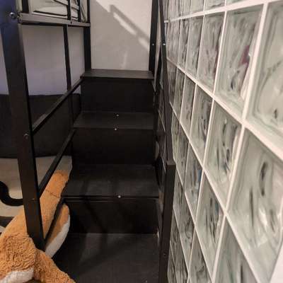 Hund will nicht aufstehen, geschweige denn Laufen gehen-Beitrag-Bild