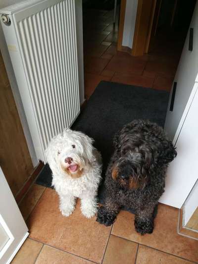 Handy-Foto Challange Nr. 10-Beitrag-Bild