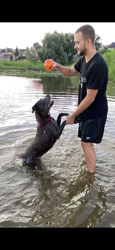 Die Dogorama Wochen Challenge: “Dein Hund im Urlaub”-Beitrag-Bild