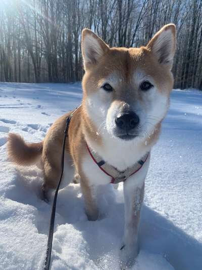 Schönen welt Frauen Tag !:)-Beitrag-Bild