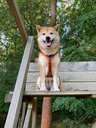 Gibt es Namens-Verwandte-Beitrag-Bild