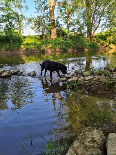 Dogorama Photo Challenge - Steine/Felsen-Beitrag-Bild