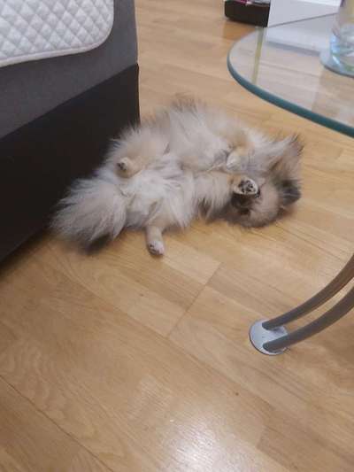 Die unbequemsten und lustigsten Schlafpositionen-Beitrag-Bild