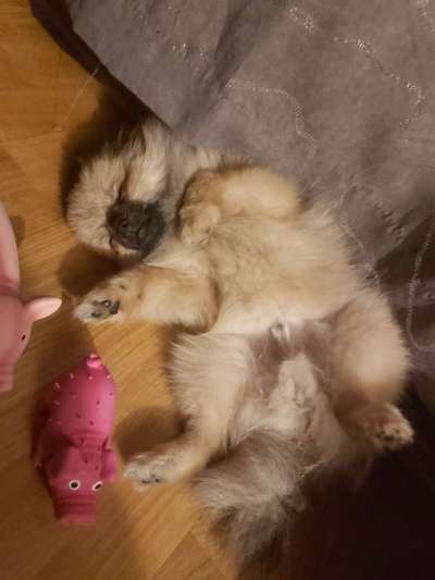 Die unbequemsten und lustigsten Schlafpositionen-Beitrag-Bild