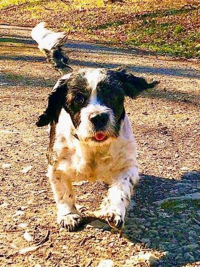 Fotochallenge Nr. 56 - geliebte Senioren-Beitrag-Bild