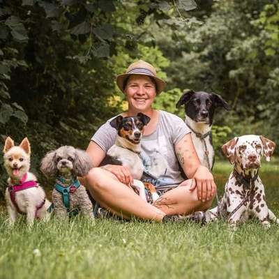 Gassi-Services-Nadja's Betreute Meute-Bild