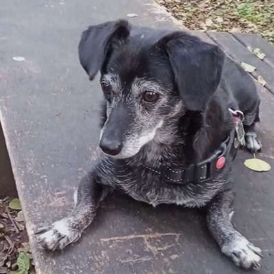 aktuelles Foto Gruppe Pankreatitis / Bauchspeicheldrüseninsuffizienz