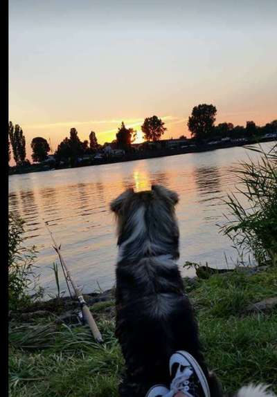 Dogorama-Monats-Challenge-Mai "Wasser"-Beitrag-Bild