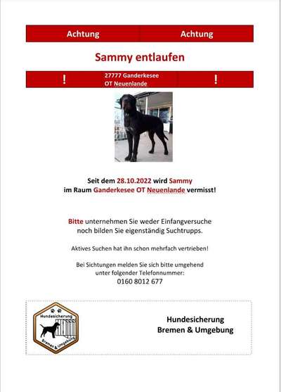 Suchmeldung-Sammy-Bild