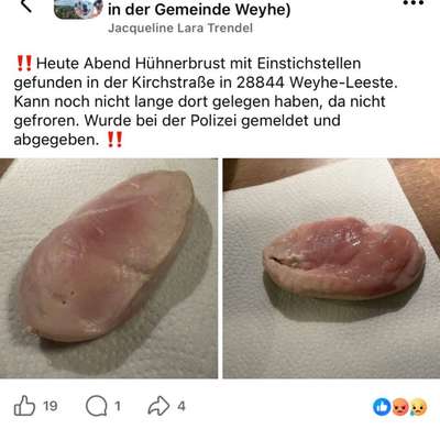 Giftköder-Hühnchen mit Einstichstelle-Bild