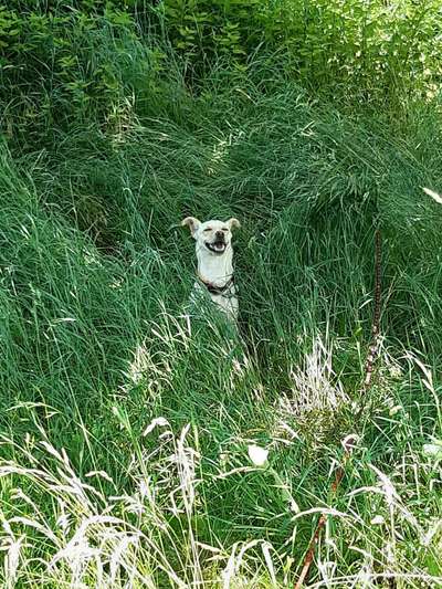 Das beste grinsefoto-Beitrag-Bild