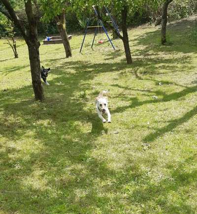 Moviestar-Pics!-Beitrag-Bild