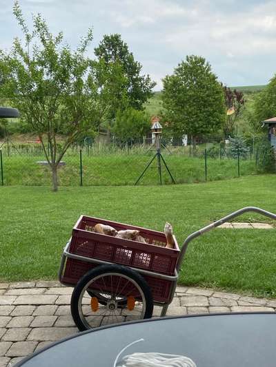 CHALLENGE NR. 34 - Liege-/Schlafpositionen-Beitrag-Bild