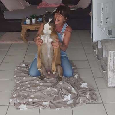 Hundetreffen-Spielen