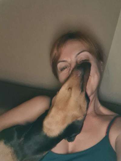 Euer schönstes Bild mit eurem Hund gemeinsam!-Beitrag-Bild