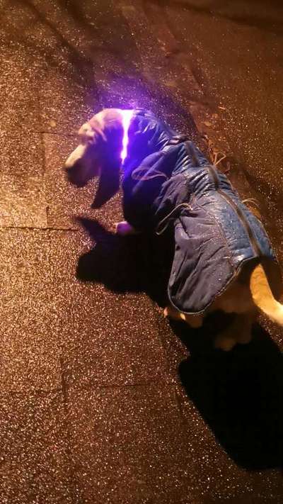 Wintermäntel bzw. Was fürn Übergang-Beitrag-Bild